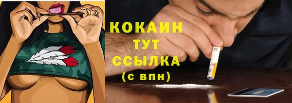 меф Ельня