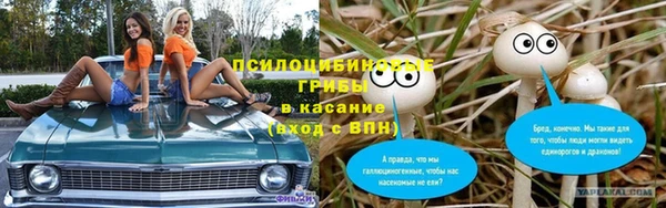 меф Ельня
