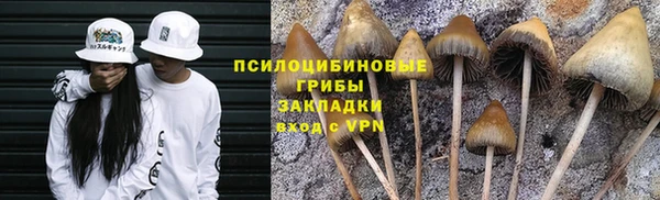 бутират Елизово