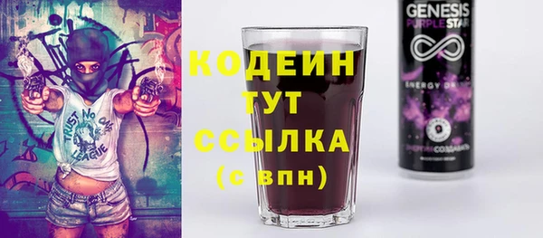 меф Ельня