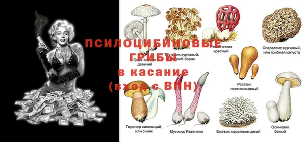 бутират Елизово