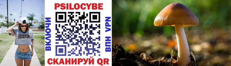 Псилоцибиновые грибы мухоморы  Западная Двина 